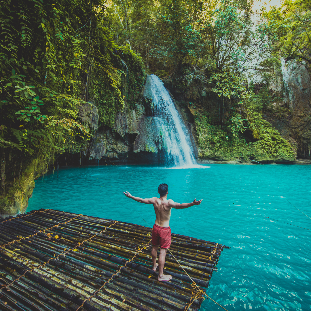 Swim with Giants, Soak in Sun – Discover Cebu