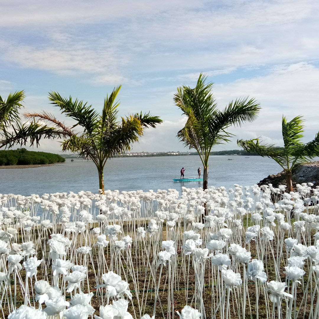 Swim with Giants, Soak in Sun – Discover Cebu