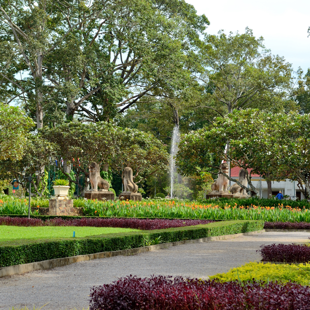 Ancient Beauty of Siem Reap