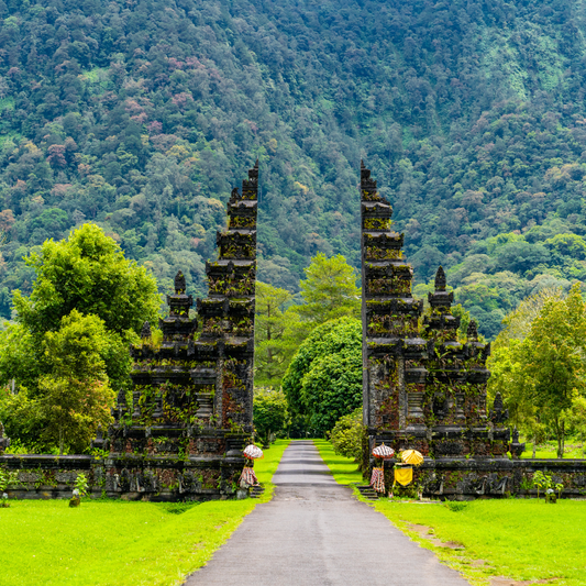 Feel the Magic of Bali!